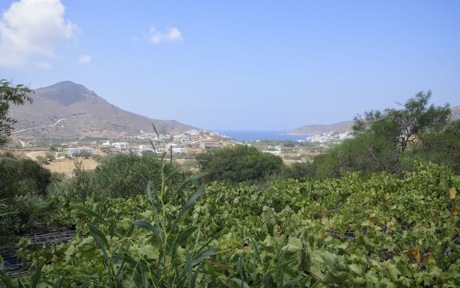 Explore Amorgos..